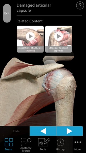 Muscle Premium - Human Anatomy, Kinesiology, Bones(圖4)-速報App
