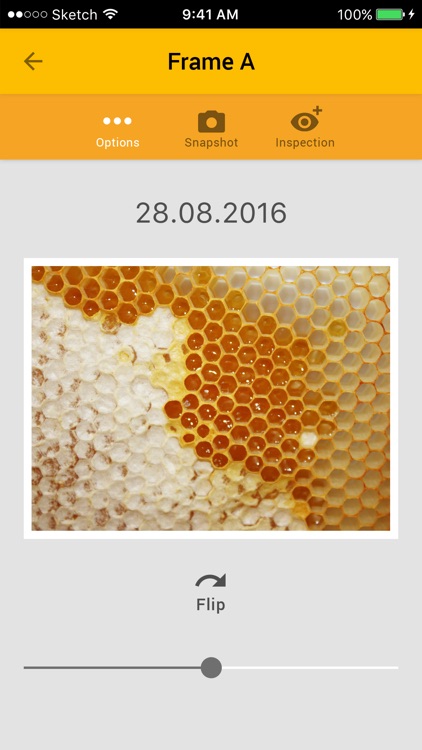 HiveKeepers screenshot-3