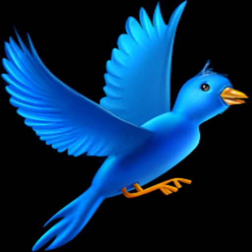 BirdBirdFly Icon