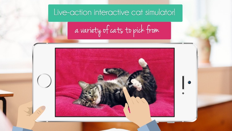 Purr - Adorable Cat Simulator and Virtual Pet