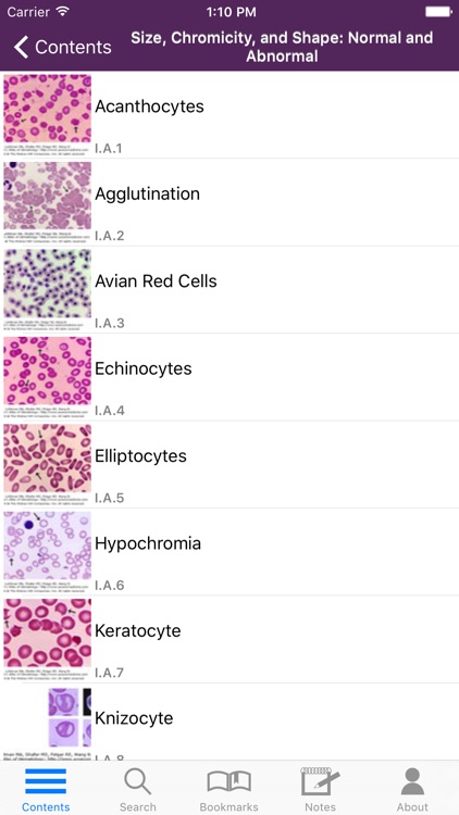 Lichtman's Atlas of Hematology