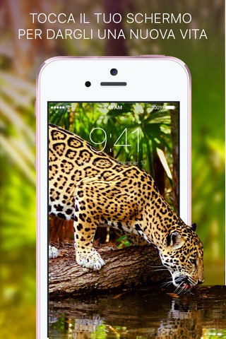 Live Wallpapers - Dynamic Animated Photo HD Themes screenshot 2