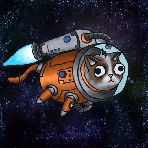 Rocket Cat "For iPad" Icon