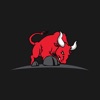Bull Attorneys ®