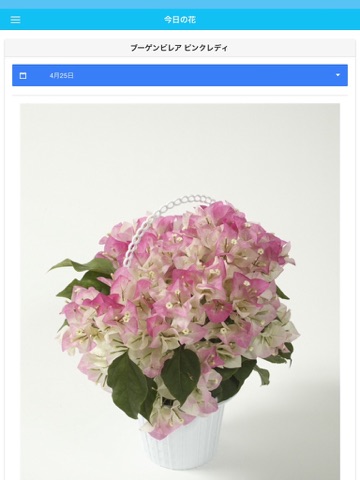 FlowerMobile - FAJ市場情報提供サービス screenshot 4