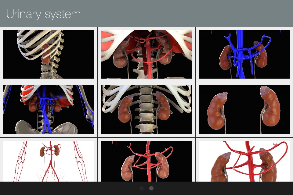 Anatomed - 3D Medical Image screenshot 3