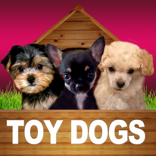 Toy Dogs - Opoly Icon
