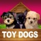 Toy Dogs - Opoly
