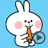 Cool Rabbit Animated
