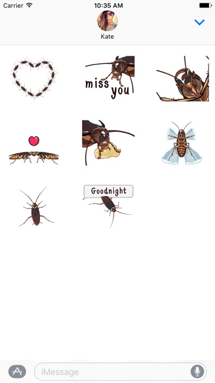 Moving Cockroach - Animated Gif Stickers