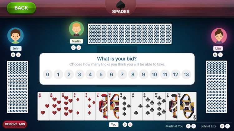 Spades Free Card Game