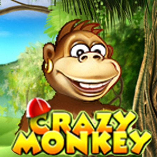 Carzy Monkey Com