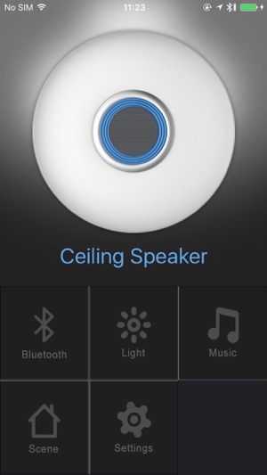 CeilingSpeaker