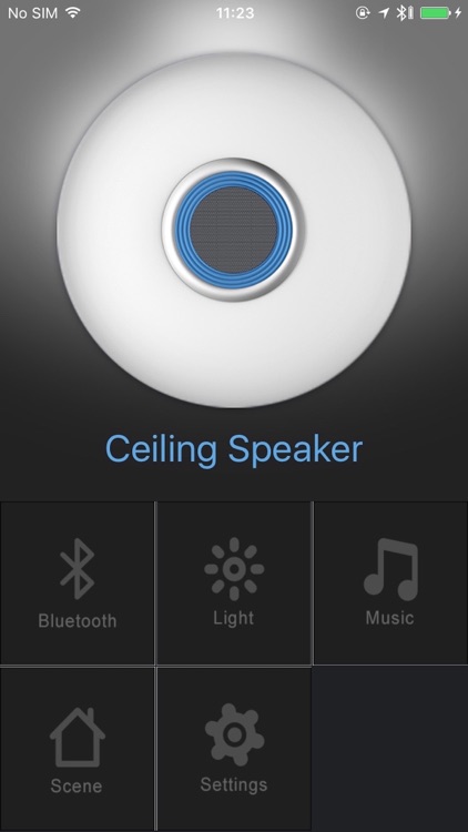 CeilingSpeaker