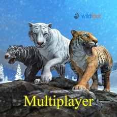 Activities of Tiger Multiplayer - Siberia