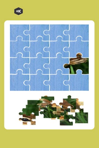 Chipmunk Jigsaw Puzzle - Animals and Plants screenshot 2