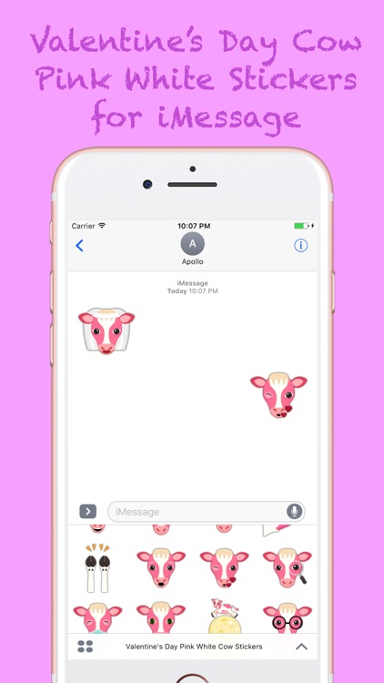 Valentine's Day Pink White Cow Stickers