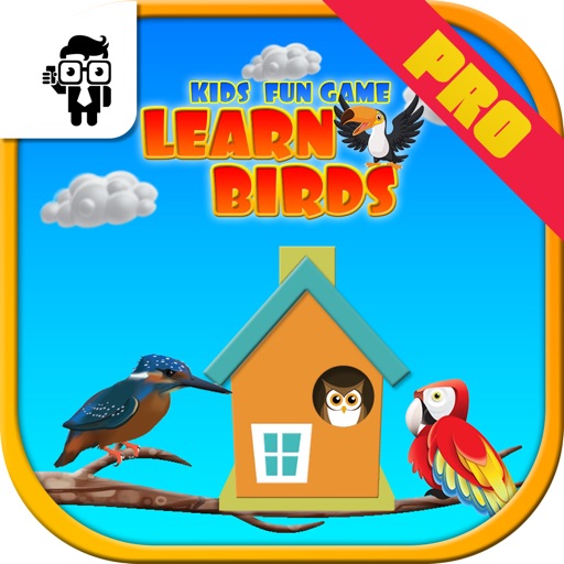 Pro Kids Fun Game Learn Birds icon
