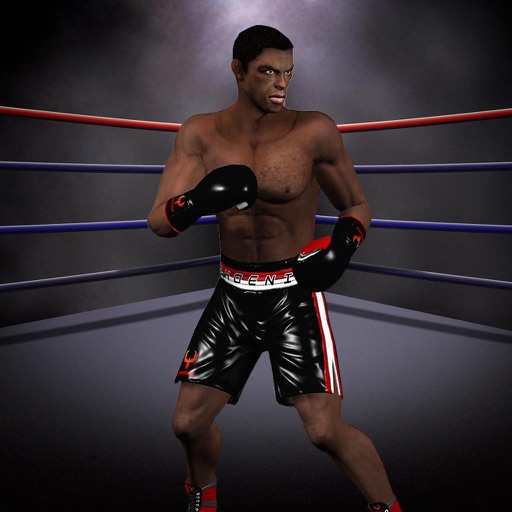 Real Street Punch Boxing iOS App