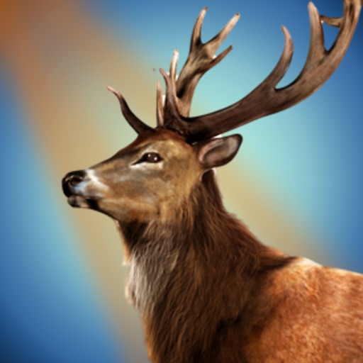 Deer Hunting Adventure Wild Hunter Master 2017 pro iOS App