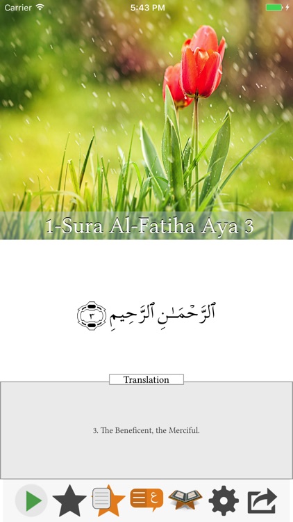 Visual Quran screenshot-4