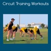 Circus training workouts