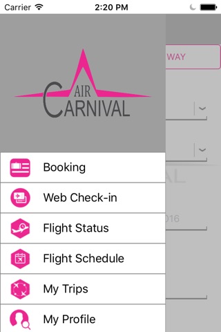 Air Carnival screenshot 2
