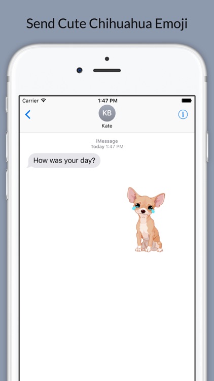 Chihuahuamoji - Chihuahua Emoji & Stickers