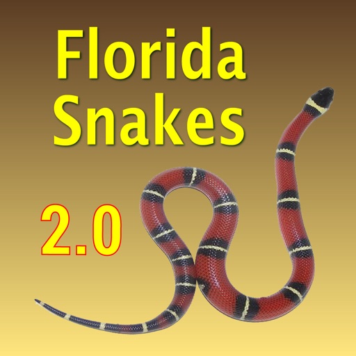Florida Snakes – Guide to Common Species