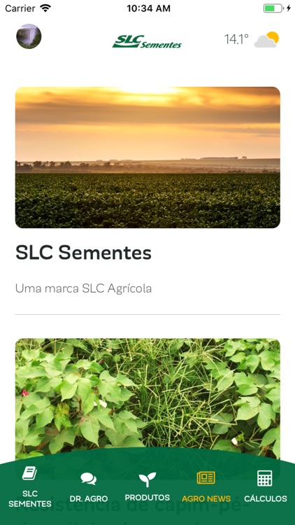 SLCSementes