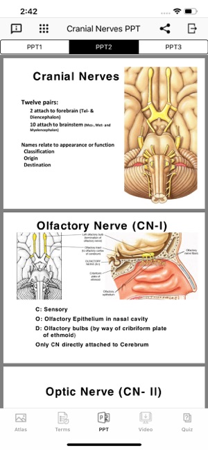 Cranial Nerves Plus(圖4)-速報App