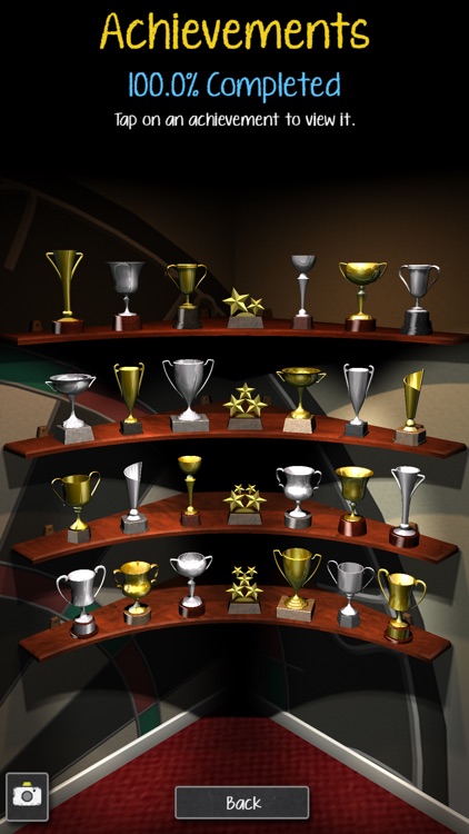 Pro Darts 2021 screenshot-5