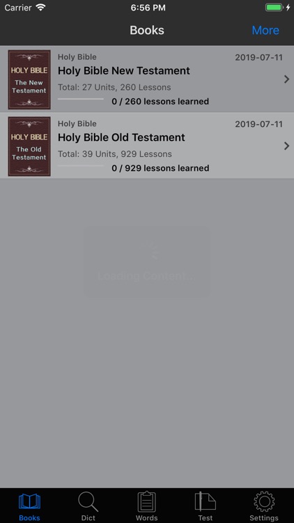 Holy Bible study audio NIV screenshot-3