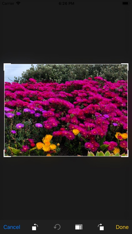 KLICKU screenshot-4