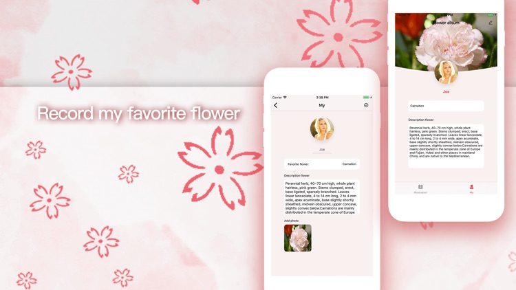 Flower album-Beautiful flower