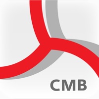 CMB suivi de compte et budget ne fonctionne pas? problème ou bug?