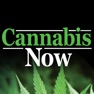 Get Cannabis Now for iOS, iPhone, iPad Aso Report
