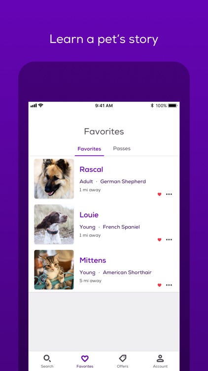 Petfinder Adoptable Pets screenshot-4