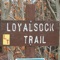 The Loyalsock Trail (LT) is a 59