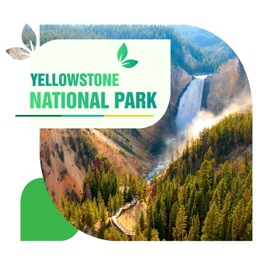 Yellowstone National Park Trip