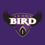 Ebony Bird