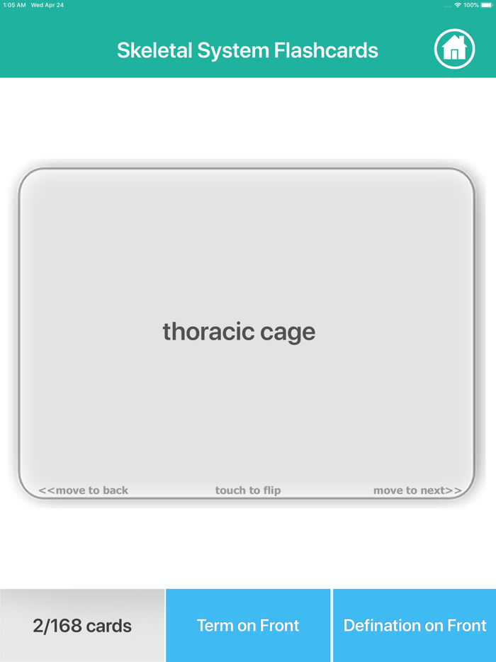 Anatomy - Skeletal System