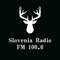 Slovenia Radio FM 100