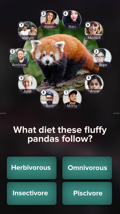 Owl Brawl: Battle Royale Quiz screenshot-5