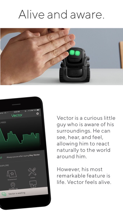 Vector Robot