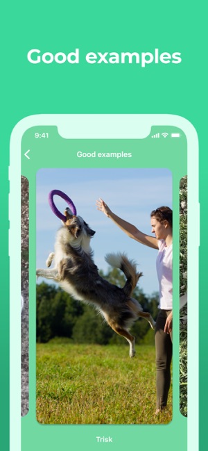 Dog Training & Clicker by Dogo(圖8)-速報App