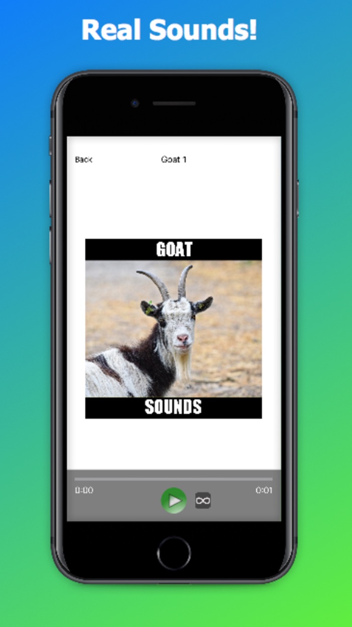 Goat Sounds Animal Sounds.,