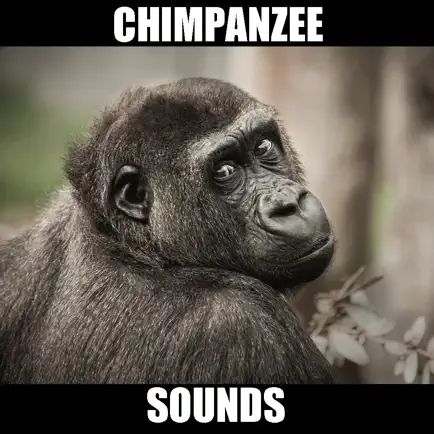 Real Chimpanzee Sounds Читы