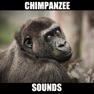 Get Real Chimpanzee Sounds for iOS, iPhone, iPad Aso Report