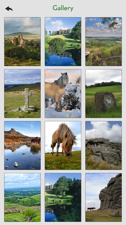 Dartmoor National Park screenshot-4